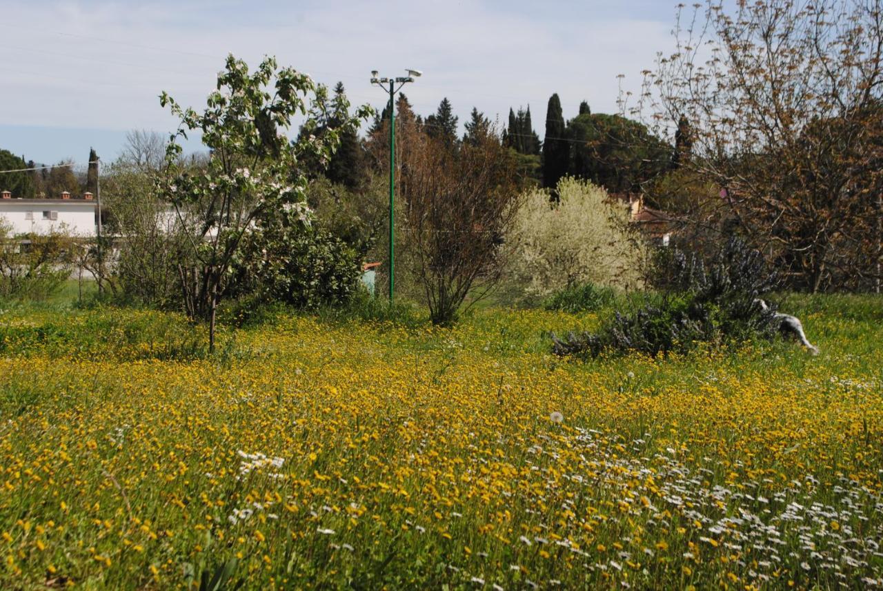 Agriturismo Fattoria Di Malavolta Florence Buitenkant foto
