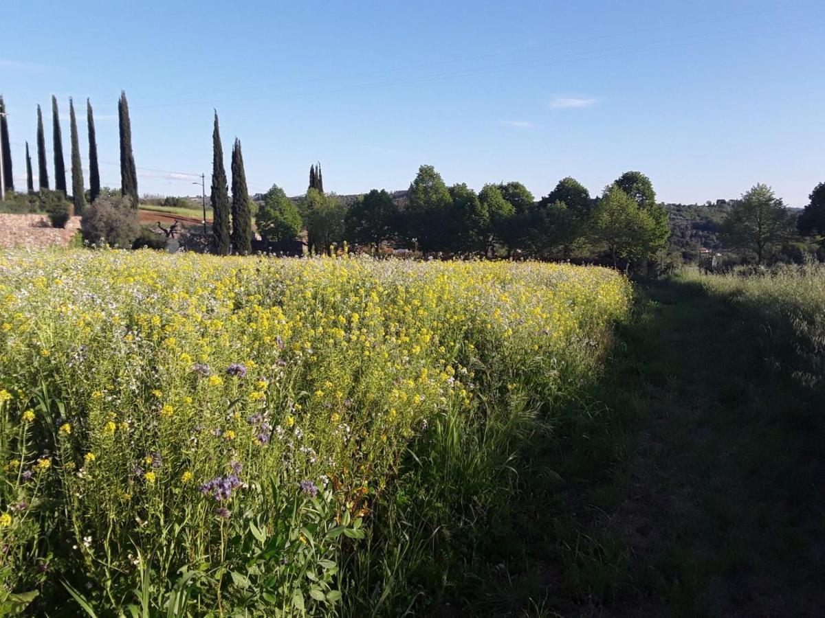 Agriturismo Fattoria Di Malavolta Florence Buitenkant foto